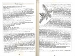 Aromaterapia — Libro - 3