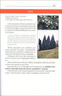 Aromaterapia Pratica — Libro - 3