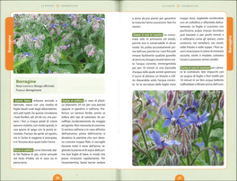 Aromatiche per Tutti — Libro - 3