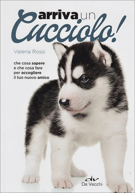 Arriva un Cucciolo