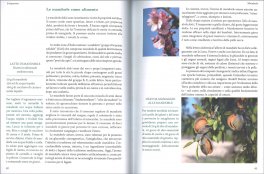 Ars Herbaria — Libro - 3