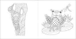Art Activity - Animali e Piante della Laguna — Libro - 3