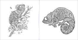 Art Activity - Camaleonti — Libro - 3
