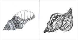Art Activity - Conchiglie — Libro - 3