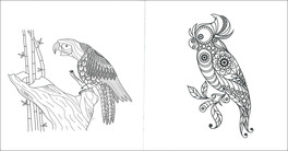 Art Activity - Pappagalli — Libro - 3