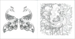Art Activity - Pavoni — Libro - 3