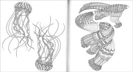 Art Therapy Animali — Libro - 3