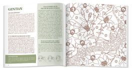 Art Therapy e Fiori di Bach — Libro - 3