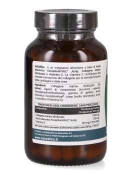 Artdol Flex - Integratore di Acido Ialuronico, Collagene e Vitamina C - 3
