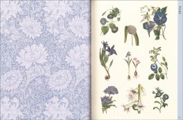 Arte Botanica — Libro - 3