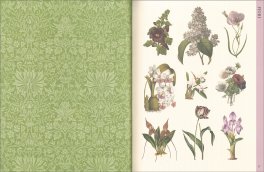 Arte Botanica — Libro - 4