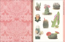 Arte Botanica — Libro - 5