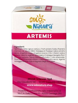 Artemis - 7