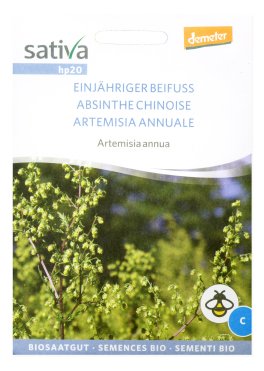 Semi di Artemisia Annua - 1
