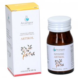 Artikol - Integratore di Boswella, Rosa canina, Salice, Curcuma, Ginkgo e China - 1