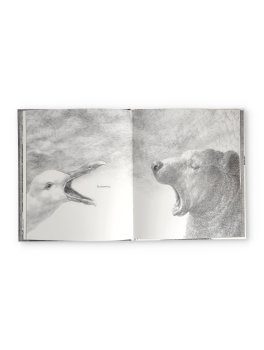 Ascoltami Quando Sto Zitto — Libro - 3