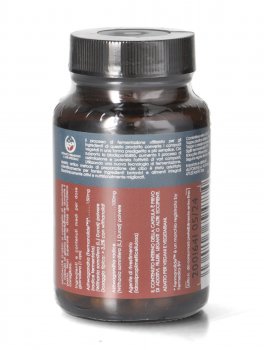 Ashwagandha Fermentata - 2