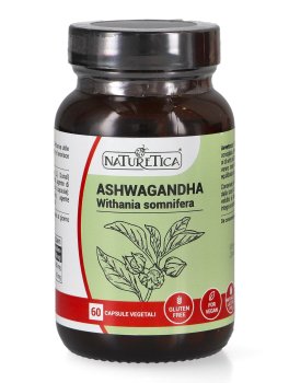 Ashwagandha - Withania somnifera - 1
