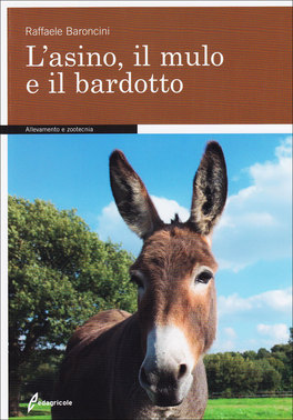 L'Asino, il Mulo e il Bardotto — Libro - 1