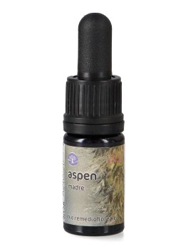Aspen - Soluzione Madre - 1