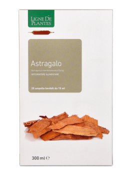 Astragalo - 2