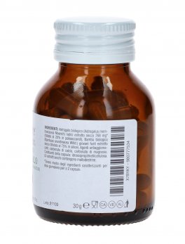 Astragalo Bio - Capsule - 2