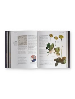 Astrologia Divinazione e Profezia — Libro - 4