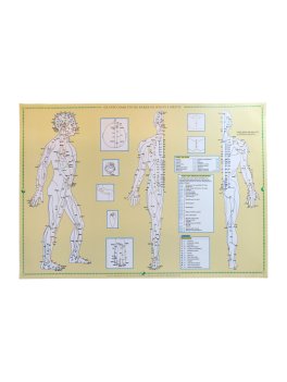 Atlante Completo dei Meridiani di Do-In e Shiatsu — Poster - 1