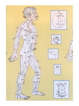 Atlante Completo dei Meridiani di Do-In e Shiatsu — Poster - 2