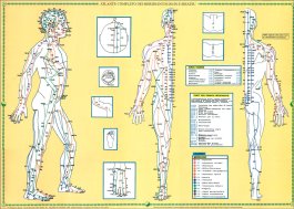 Atlante Completo dei Meridiani di Do-In e Shiatsu - Poster — Poster - 3