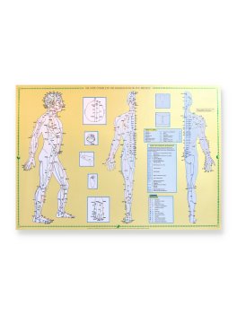 Atlante Completo dei Meridiani di Do-In e Shiatsu - Poster — Poster - 1