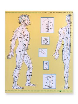 Atlante Completo dei Meridiani di Do-In e Shiatsu - Poster — Poster - 2