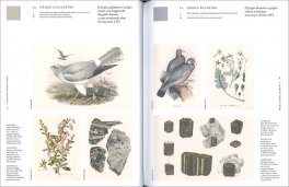 Atlante Cromatico della Natura — Libro - 3