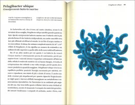 Atlante dei Batteri — Libro - 3