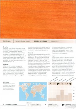 Atlante del Legno — Libro - 3