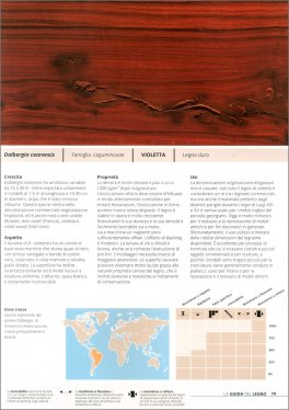 Atlante del Legno — Libro - 4