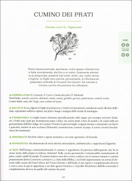 Atlante Gastronomico delle Erbe — Libro - 5