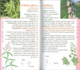 Atlante delle Erbe Medicinali Pronte all'Uso — Libro - 3
