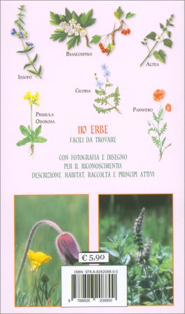 Atlante delle Erbe Medicinali Pronte all'Uso — Libro - 4