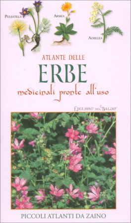 Atlante delle Erbe Medicinali Pronte all'Uso — Libro - 1