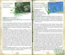 Atlante delle Erbette di Prati, Rive e dei Piccoli Frutti di Bosco — Libro - 3