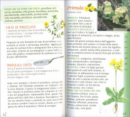 Atlante delle Erbette e dei Piccoli Frutti di Bosco — Libro - 2