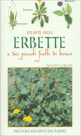 Atlante delle Erbette e dei Piccoli Frutti di Bosco — Libro - 1
