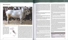 Atlante delle Razze Autoctone — Libro - 3