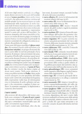 Atlante di Anatomia — Libro - 6