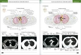 Atlante di Anatomia — Libro - 3
