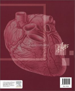 Atlante di Anatomia Umana — Libro - 2