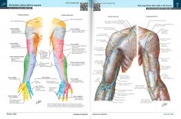 Atlante di Anatomia Umana — Libro - 3