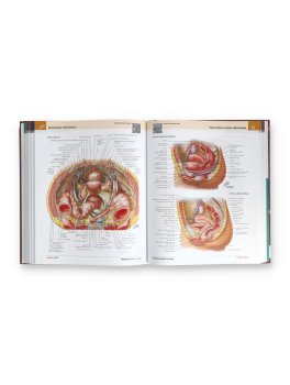Netter - Atlante di Anatomia Umana — Libro - 5