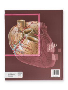 Netter - Atlante di Anatomia Umana — Libro - 6